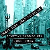 CHEWY VEGA -BS -CHICAGO PTH2 JUNE 2014