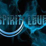 Spirit Level 2012