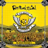 Fatboy Slim - Big Beach Bootique 5 "Preview" By I ♥ Trance House music