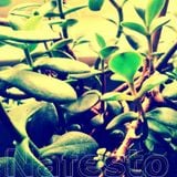 growing things in live