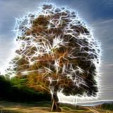 Steve Roach - Origin - Paulstretched