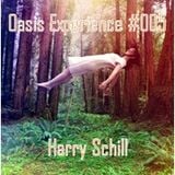 Oasis Experience #005 By Harry Schill