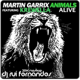 Martin Garrix feat. Krewella - Animals Alive (Dj Rui Fernandes 2014 Mashup)