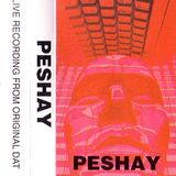Peshay - Love Of Life 1996.