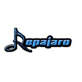 TECHNOSUMMER SESSION 2012 - REPAJARO