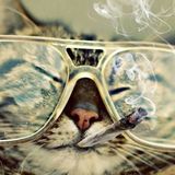 Oui-Jah _ Shut up & smoke !
