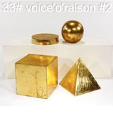 33# voice'o'raison #2