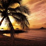Summer Day & Night