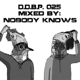 Digital Delight Barcelona Podcast 025 (Mixed by Nobody Knows)