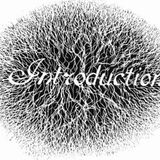 Introduction