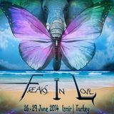 B.e.n. - Freaks in Love Festival - Alternative Stage set