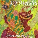 DJ Meeshu - Soul Spa 6-10-12