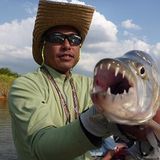 Tiger Fish's 10years ago