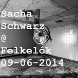 Sacha Schwarz guest mix