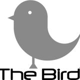 Regression 030 By Ash - the bird Mix
