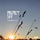 Perfect Day (Flying Sparks 2013-12-01)