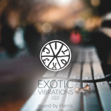 Exotic Vibrations 022 (October 2015)