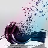 Neuronic - Spark Em' And Let Them FLY!