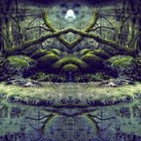 Into The Swamp Of Trolls (Visionary Shamanics Radio Show Mix)