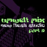 Umwelt@Newflesh Studio Part 09 (2009)