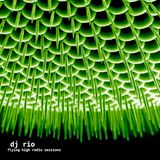 DJ Rio Flying High Radio Sessions Mix #515