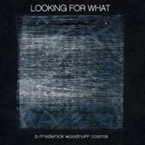 Looking For What - November 2011