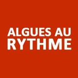 Mustapha live @ Festival algues au rythmes :Le contretemps Auray