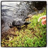 Seabreeze, OBX 2012-08-11 (part 1)