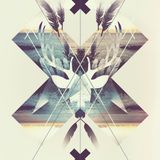 The Fall (Basic Bird Mix)
