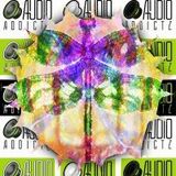 Lee AudioAddictz - Alchemy 2010 - Live Fullon Set