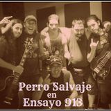 Programa 16 - Ensayo 913 - 26.04.14