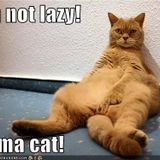 Shit Ain't Lazy
