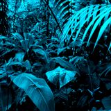 Di PePPer 012 -mp3 - Hunting