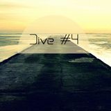 Dive #4 (February 2013)