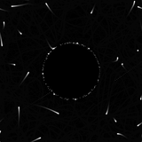 NOISAGE VI