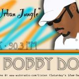 DJ Bobby Dove's Urban Jungle - Soul Jamz (1.28.12) Liquid DnB