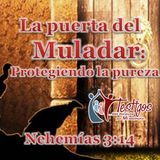 6. La puerta del Muladar, asegurando la pureza