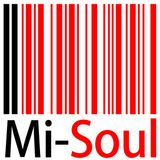 Radio Mi-Soul IRFRadioFest 06.09.2014.