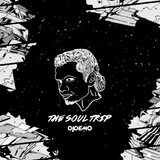 The Soul Trip