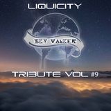 Liquicity Tribute Vol #9 Sky Walker