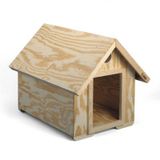Kid Chalupa "House and Other Things"