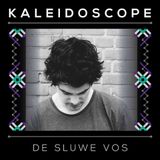 De Sluwe Vos @ Kaleidoscope, Central Studio's Utrecht