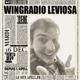 Winradio Leviosa