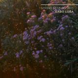 Spring session 2015 - Gabo Lora