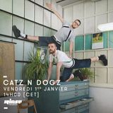 Catz & Dogz - 1er Janvier 2016