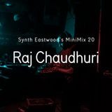 SE Minimix 020 - Raj Chaudhuri