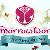 David Guetta - Live @ TomorrowWorld (Atlanta) - 29-09-2013