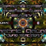 Witness To The Nagual - Mantric Galaxy (psYspRing Open Air 2014)