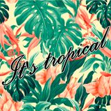 It's tropical vol.7