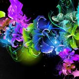 mix set